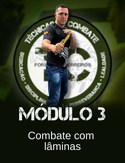 modulo3-combate-com-laminas3